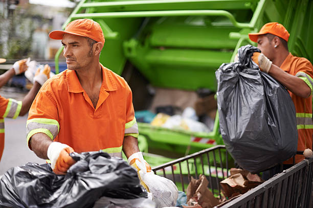 Demolition Debris Removal in Safety Harbor, FL